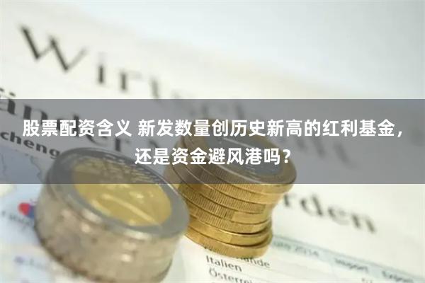 股票配资含义 新发数量创历史新高的红利基金，还是资金避风港吗？