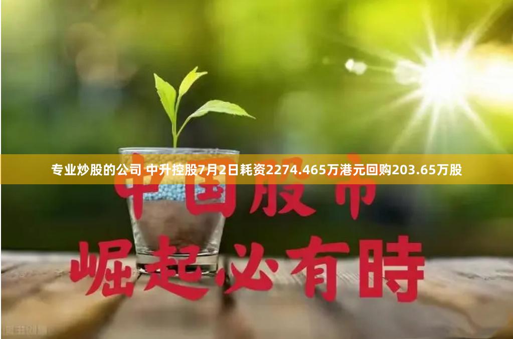 专业炒股的公司 中升控股7月2日耗资2274.465万港元回购203.65万股