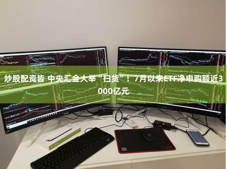 炒股配资皆 中央汇金大举“扫货”！7月以来ETF净申购额近3000亿元