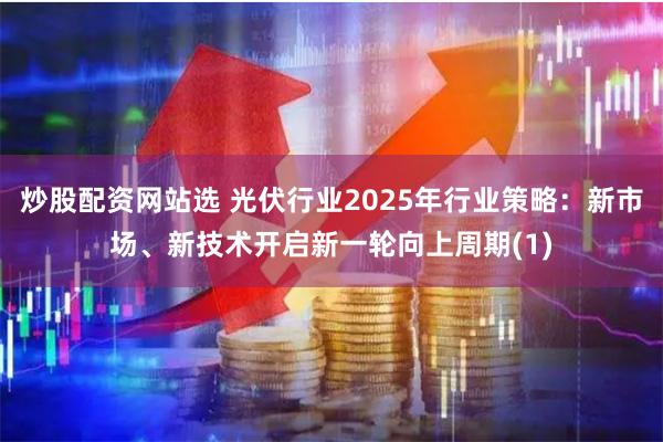 炒股配资网站选 光伏行业2025年行业策略：新市场、新技术开启新一轮向上周期(1)