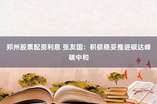 郑州股票配资利息 张友国：积极稳妥推进碳达峰碳中和